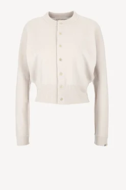 Femme Extreme Cashmere Cardigan Blouson N° 257 Dans Chalk