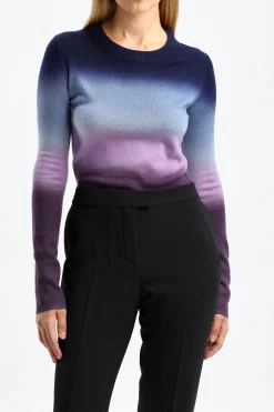 Femme Altuzarra Pull Camarina En Aubergine