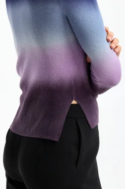 Femme Altuzarra Pull Camarina En Aubergine