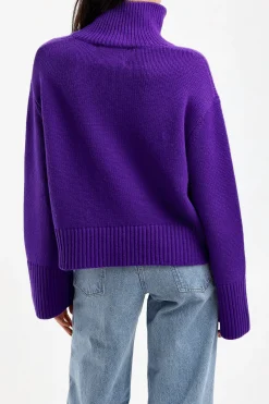 Femme Lisa Yang Pull Fleur En Grape