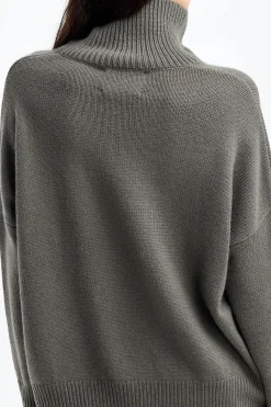 Femme Lisa Yang Pull Heidi En Fern