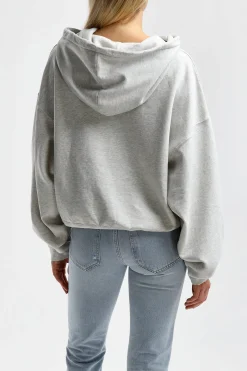 Femme Anine Bing Sweat A Capuche Alec En Gris